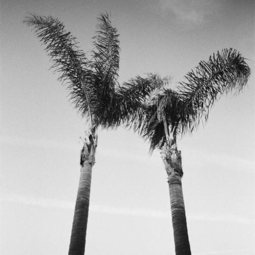 Music| Listen to New Music Jaden Smith’s “JetSkis”