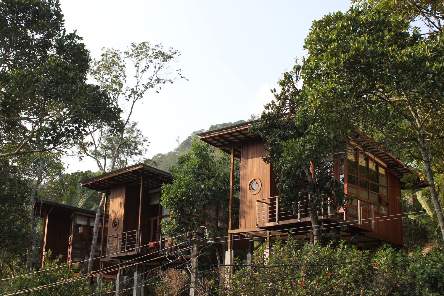 Design| View India’s Jungle Retreat At The Cardamom Club