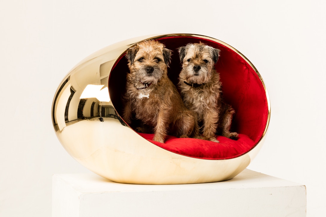 Design| View Pet Friendly Designs From @ZahaHadidDesign & Other Architecture Firms